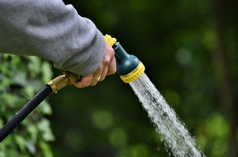Witchcraft Watering
