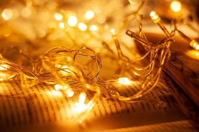 Fairy Lights Garden Decoration