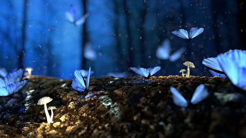 Magic Forest